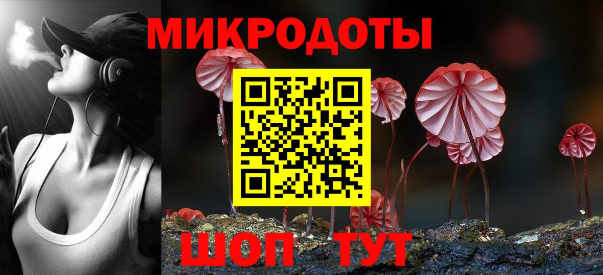 Галлюциногенные грибы Psilocybe Зеленокумск