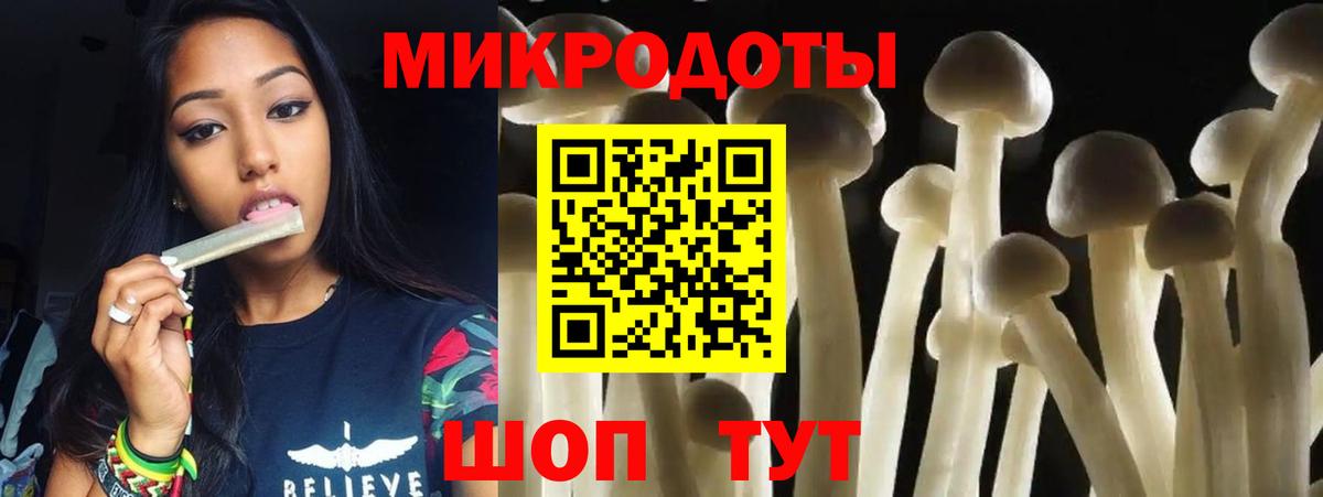 Псилоцибиновые грибы Cubensis  Вход с VPN  Зеленокумск 